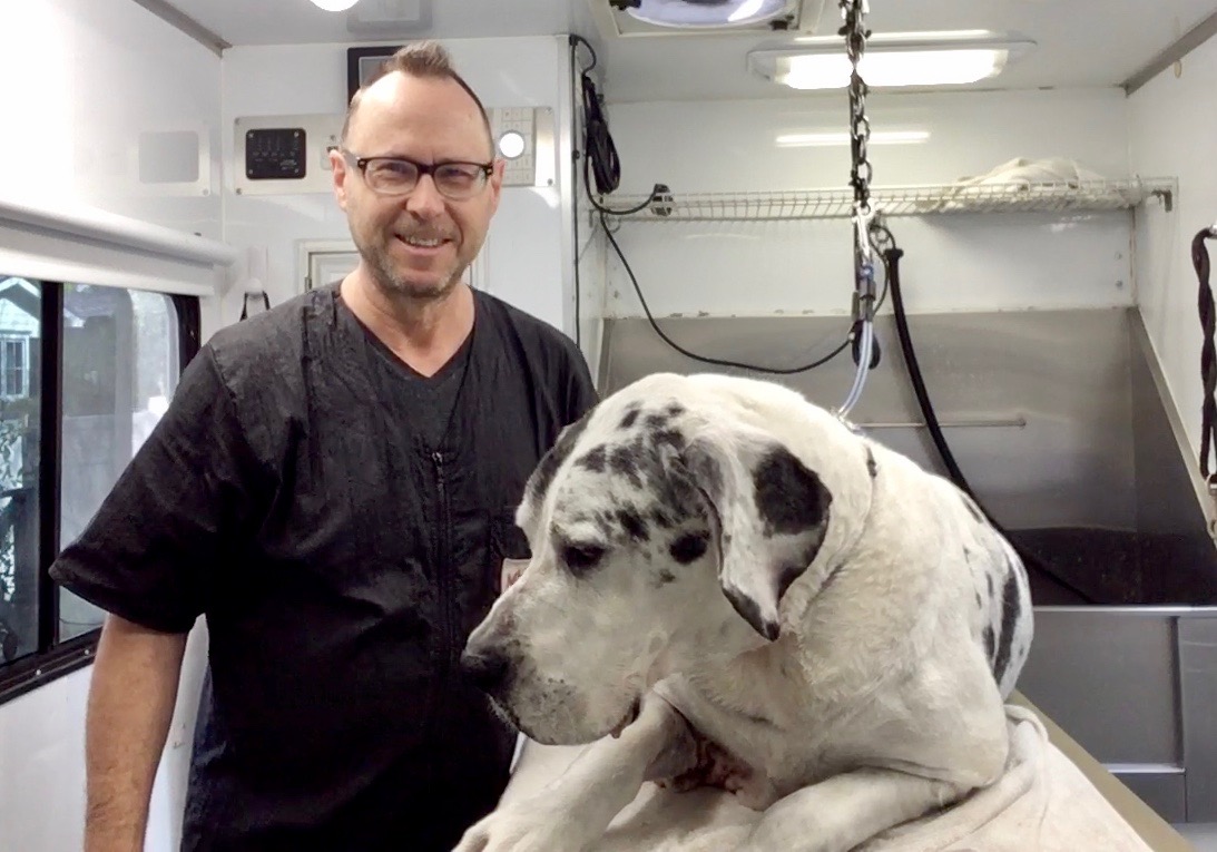 marks mobile dog wash