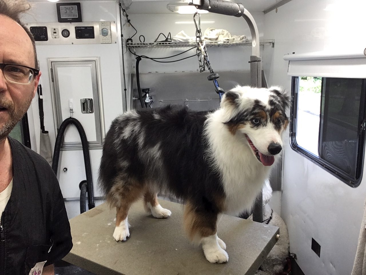 marks mobile dog wash